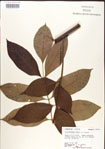 000001272-thumbnail.jpg
