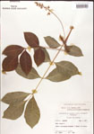 000001273-thumbnail.jpg