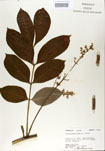 000001277-thumbnail.jpg