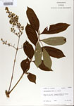 000001278-thumbnail.jpg