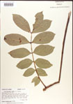 000001280-thumbnail.jpg