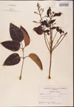 000001285-thumbnail.jpg