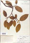 000001304-thumbnail.jpg