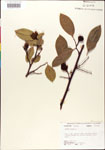 000001309-thumbnail.jpg