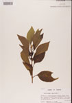 000001314-thumbnail.jpg