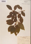 000001319-thumbnail.jpg