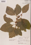 000001320-thumbnail.jpg