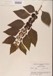 000001321-thumbnail.jpg