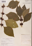 000001324-thumbnail.jpg