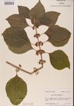 000001334-thumbnail.jpg