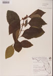 000001344-thumbnail.jpg