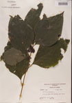 000001346-thumbnail.jpg