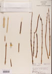 000001347-thumbnail.jpg