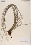 000001348-thumbnail.jpg