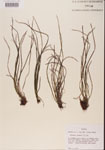 000001349-thumbnail.jpg