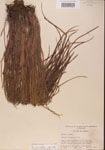 000001350-thumbnail.jpg