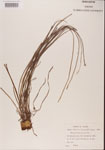 000001353-thumbnail.jpg
