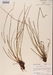 000001354-thumbnail.jpg