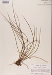 000001355-thumbnail.jpg
