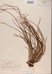 000001357-thumbnail.jpg