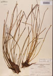 000001359-thumbnail.jpg