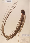000001360-thumbnail.jpg