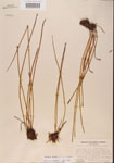 000001361-thumbnail.jpg