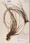 000001363-thumbnail.jpg