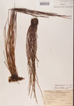 000001364-thumbnail.jpg