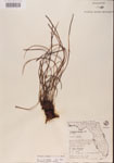 000001367-thumbnail.jpg