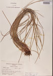 000001368-thumbnail.jpg