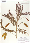 000001426-thumbnail.jpg