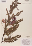 000001428-thumbnail.jpg