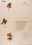 000001434-thumbnail.jpg