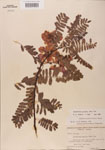 000001435-thumbnail.jpg