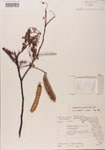 000001436-thumbnail.jpg