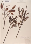 000001437-thumbnail.jpg