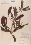 000001438-thumbnail.jpg