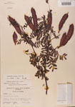 000001442-thumbnail.jpg