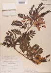 000001443-thumbnail.jpg