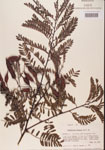 000001447-thumbnail.jpg
