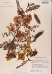 000001449-thumbnail.jpg
