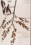000001450-thumbnail.jpg