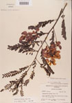 000001451-thumbnail.jpg