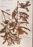 000001453-thumbnail.jpg