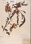 000001454-thumbnail.jpg