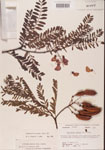 000001456-thumbnail.jpg