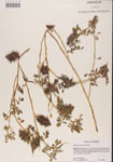 000001457-thumbnail.jpg