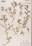000001458-thumbnail.jpg