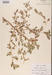 000001459-thumbnail.jpg